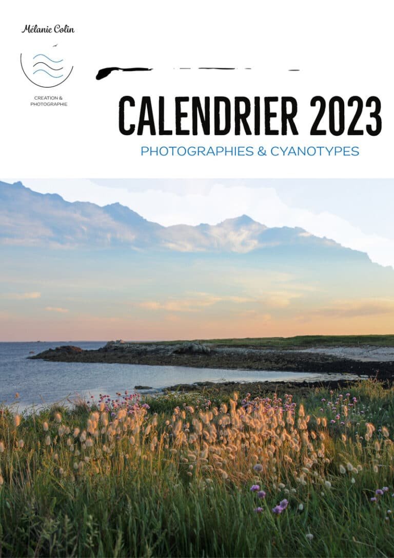 Calendrier Photographies et Cyanotypes | Mélanie Colin