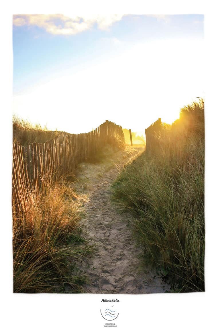 Carte postale photographie chemin de bord de mer