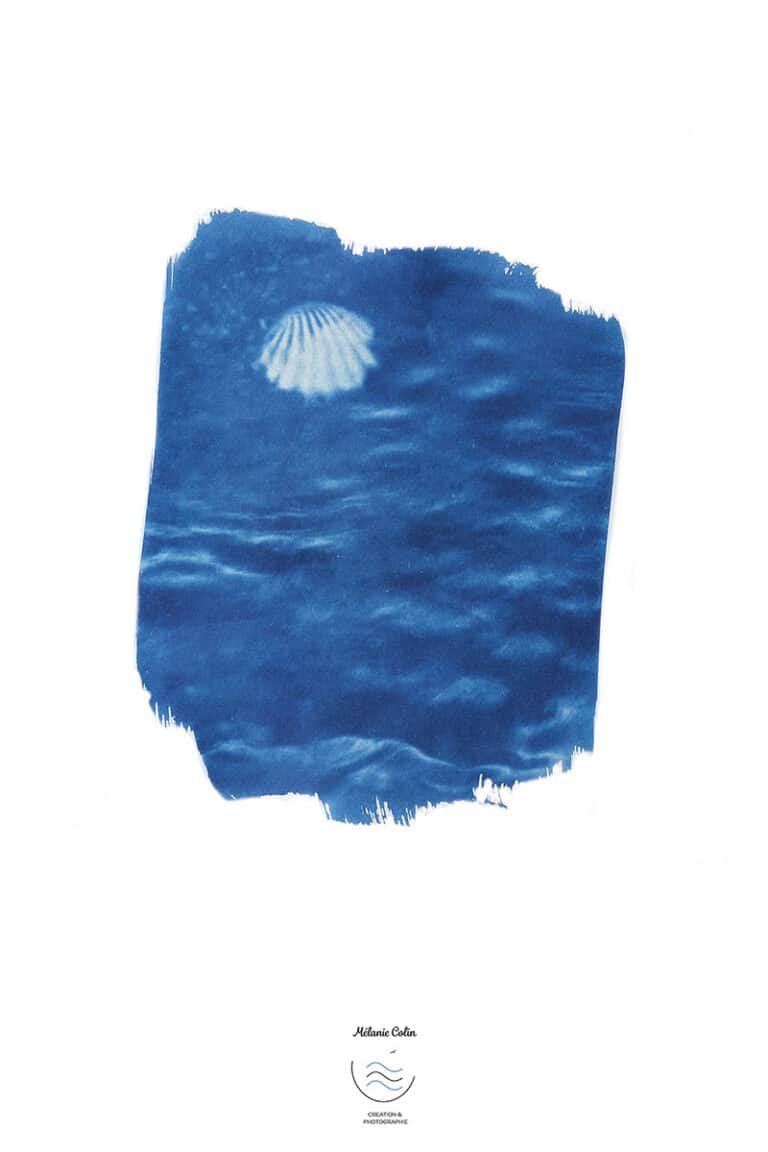 Carte postale cyanotype lune et mer