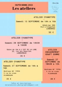 Sans titre