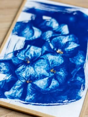 Cyanotype hortensias brodés