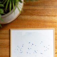 Fais comme l'oiseau