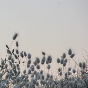 2130-7