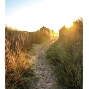 Carte postale photographie chemin de bord de mer