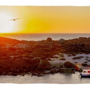 Carte postale photographie magnifique coucher de soleil