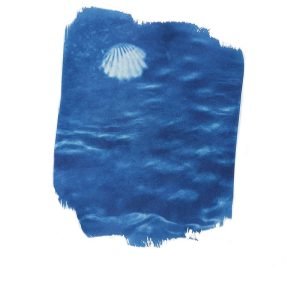 Carte postale cyanotype lune et mer