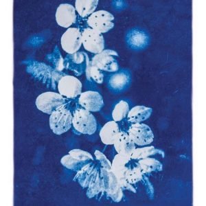 Carte postale cyanotype Fleurs