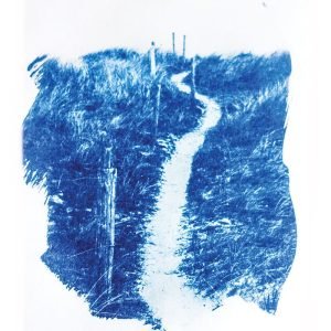 Carte postale cyanotype chemin